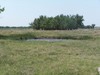 Sand Creek`